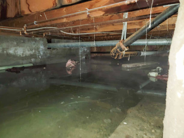 Best 24/7 water damage repair  in Harper, KS