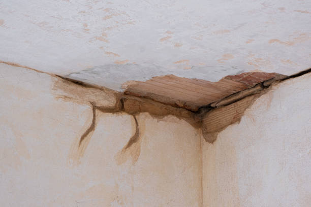 Best Flood damage cleanup  in Harper, KS