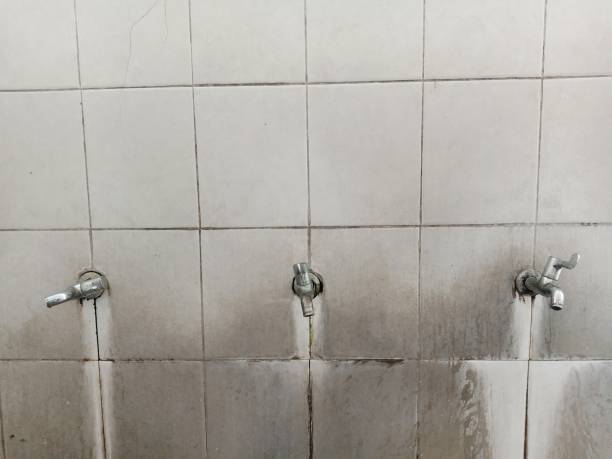 Best 24-hour water damage restoration  in Harper, KS